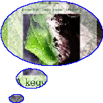 A Kegyelem ize